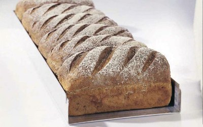 Regent Bread 50